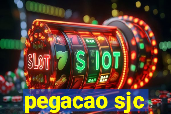 pegacao sjc